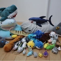 生き物　動物　ぬいぐるみ