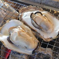 牡蠣食べたい！