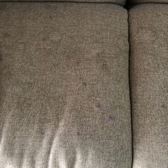 ソファベッドの画像