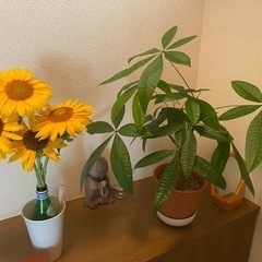 どーしようもなく困っているなら運気をあげよう　☆★　