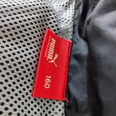 （決まりました）（引っ越しの為値下げしました）プーマのジャンバーの画像