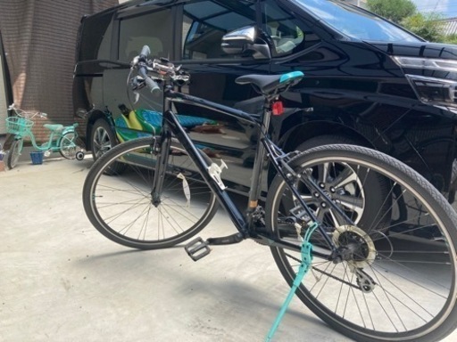 Bianchi Cスポーツ1