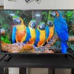 LG モニター　42LF5600