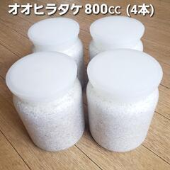 オオヒラタケ菌糸ビン 800cc ○4本　菌糸入りボトル　※5本...