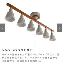 シーリングライト6灯　お洒落　エア•リゾーム　天井証明