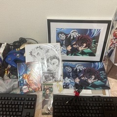 引き取り手見つかりました！ありがとうございました！【あげます】N...