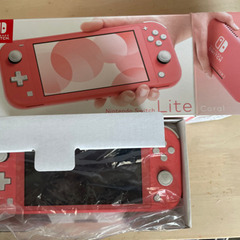 交渉可！Switchライト