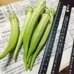無農薬白オクラ100g