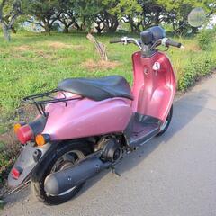 ホンダ トゥデイ AF61 実働 軽整備済 スクーター 原付 today dio jog af67 ビーノの画像