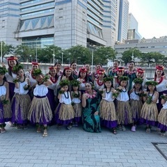 逗子フラダンス教室 新規生徒募集中の画像