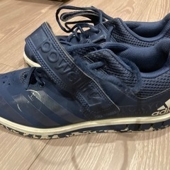 スクワットシューズの画像