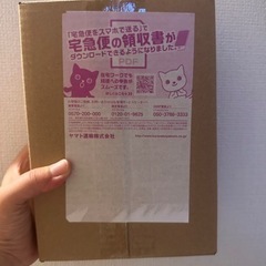 ポケモンワールドチャンピオンシップス2023横浜記念デッキ「ピカチュウ」の画像