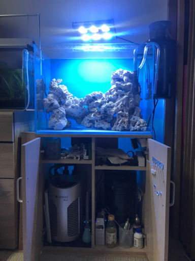 海水水槽一式　※バラ売り物検討します