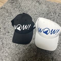 激安ゴルフキャプ　早いもん勝ち