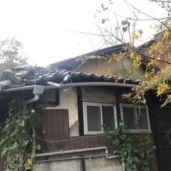 尾道で古民家平家とボロアパートフルリノベーションしてます^_^