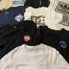 大幅値下げ！メンズTシャツ　色々11点セット