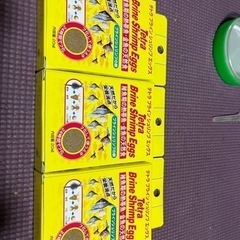 ハッチャー24と未開封新品のブラインシュリンプエッグのセットの画像