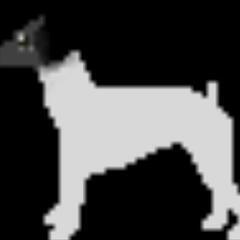 《希少犬種》　日本テリア　去勢済