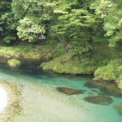 お願い 川遊びやBBQの出来る場所を貸して下さい