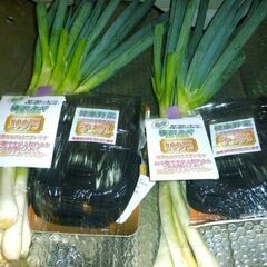 🔻【完売】🥬【新鮮野菜】栄養が4倍　榛沢深谷ネギ6本＋多目的バッ...