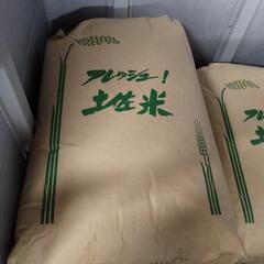 土佐市産　コシヒカリ　玄米　30kg×2袋セット　R4年度産
