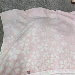 ポロ　ダッフィー　今治　タオルの画像