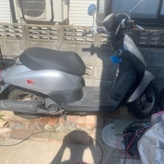 値引き不可　購入意志ある方のみ　HONDA トゥデイ AF67 ...