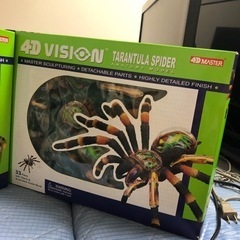 4D VISION かえる　蜘蛛の画像