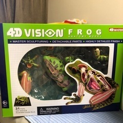 4D VISION かえる　蜘蛛の画像