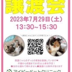 7/29 岐阜市 🐾猫の譲渡会