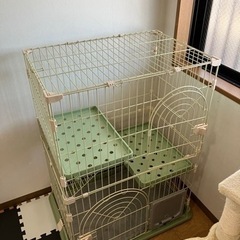 『お譲り先　決定致しました』猫ちゃんゲージの画像