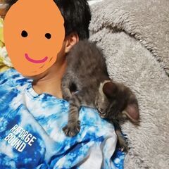 甘えん坊のケビン君(家族が決まりました)