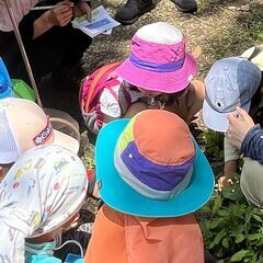 虫とりイベント（無料）