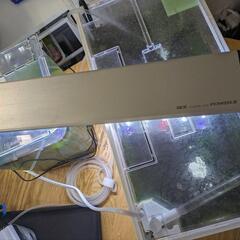 【商談中】水槽　メダカ　ネオンテトラ　シュリンプ　備品の画像