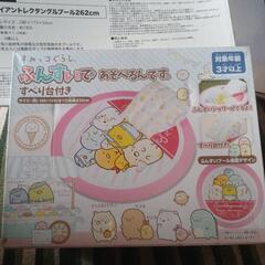 プールセット5000円で