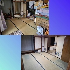 出品、梱包、分別　正社員の画像
