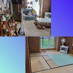 出品、梱包、分別　正社員の画像