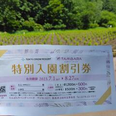 群馬　玉原スキー　たんばらラベンダーパーク入場券無料4名分の画像