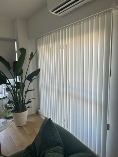 LINE DRAPE 新品未使用