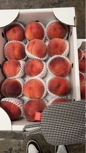 桃　なっこ　山梨　15玉