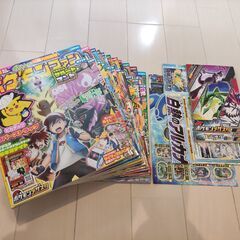 ポケモンファン　11冊　本のみ