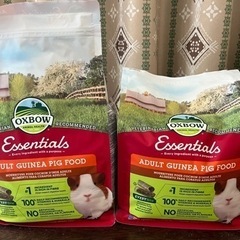 アダルトモルモットフードの画像