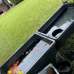 めだかすくいやスーパーボールすくいなど！