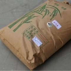 令和4年産キヌヒカリ玄米30kg