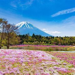 【写真講座】一眼カメラの基礎からマニュアルモードまで一気に学んで脱初級者♪ 　【マンツーマンレッスン】上達に必要なポイントを効率よく！デジタル一眼カメラの基礎からＭモードを一気にマスターして写真のコツをつかみましょう♪の画像