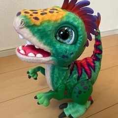 受け渡し完了50