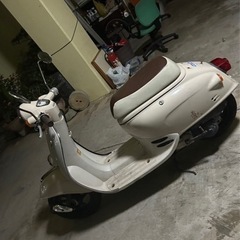 ホンダ　ジョルノAF24の画像