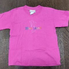 Ｔシャツ　レディースＳサイズ