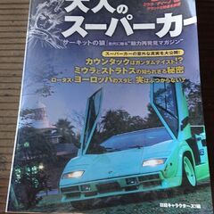大人のスーパーカーの写真集の画像