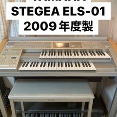 YAMAHA STEGEA ELS-01 2009年度製